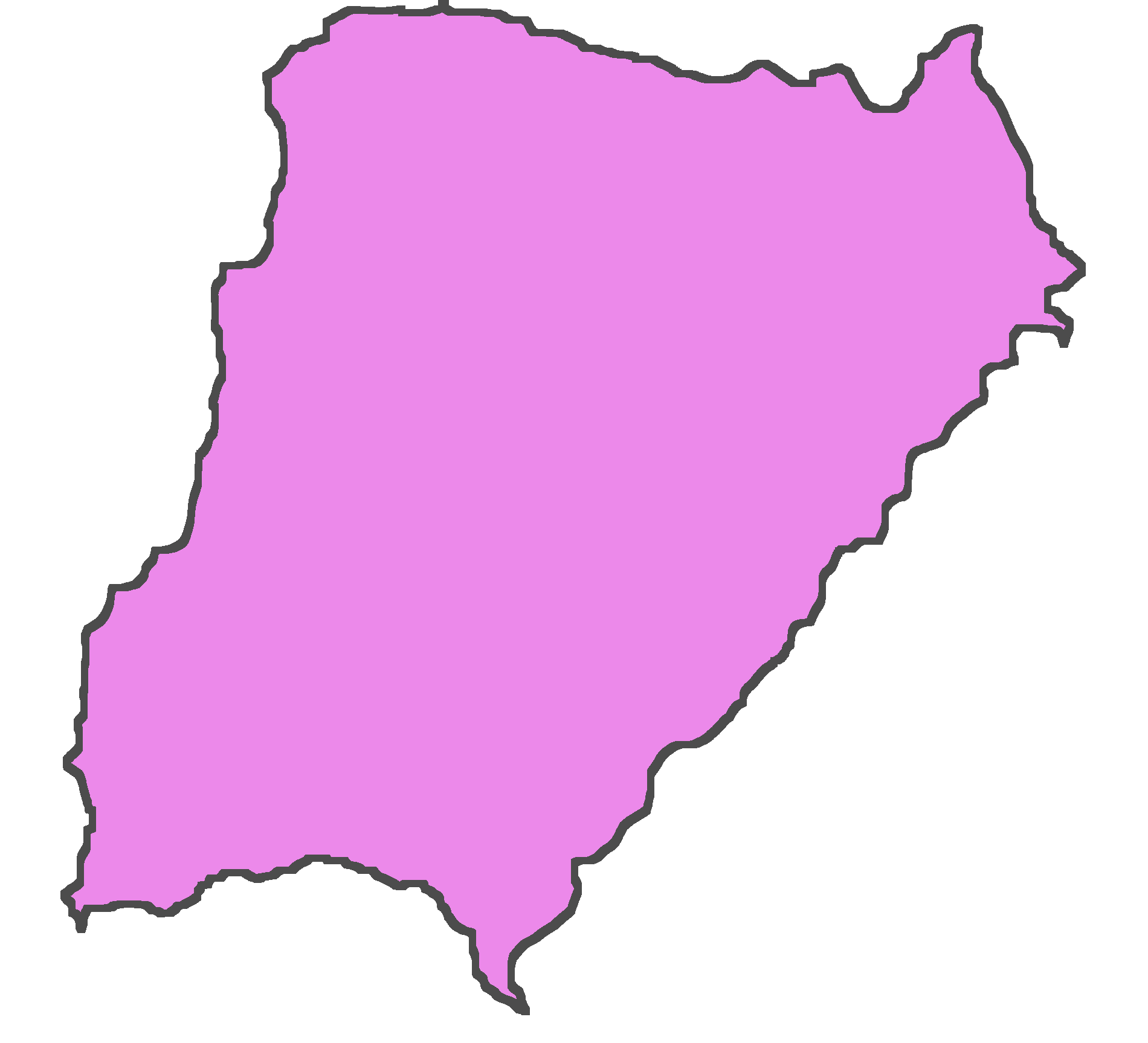 Mapa limpio de Corrientes con divisiones departamentales